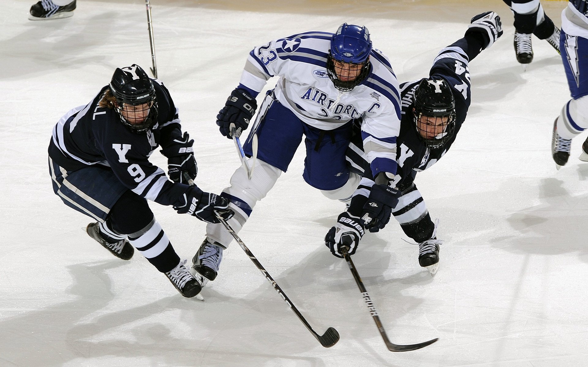 体育产业年度趋势